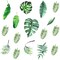 Leaf Wall Decals,64 PCS Removable Tropical Plants Tree Leaves Stickers (Green Leaves)